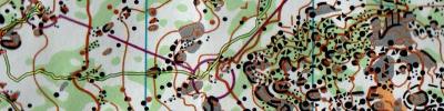 Victorian Middle Distance Champs 2014 (30/08/2014)