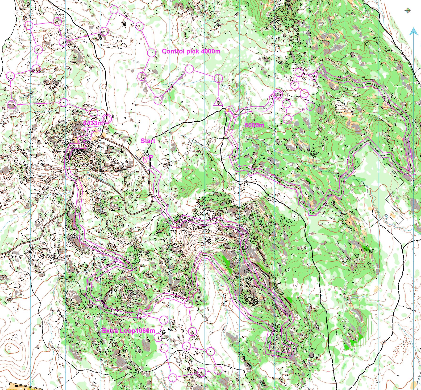 Kooyoora (2014-12-21)