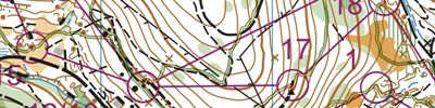 Stringy Bark Surprise (test run)