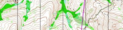 2012 Tasmanian Long Distance Championships`