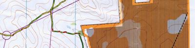 Bendigo series