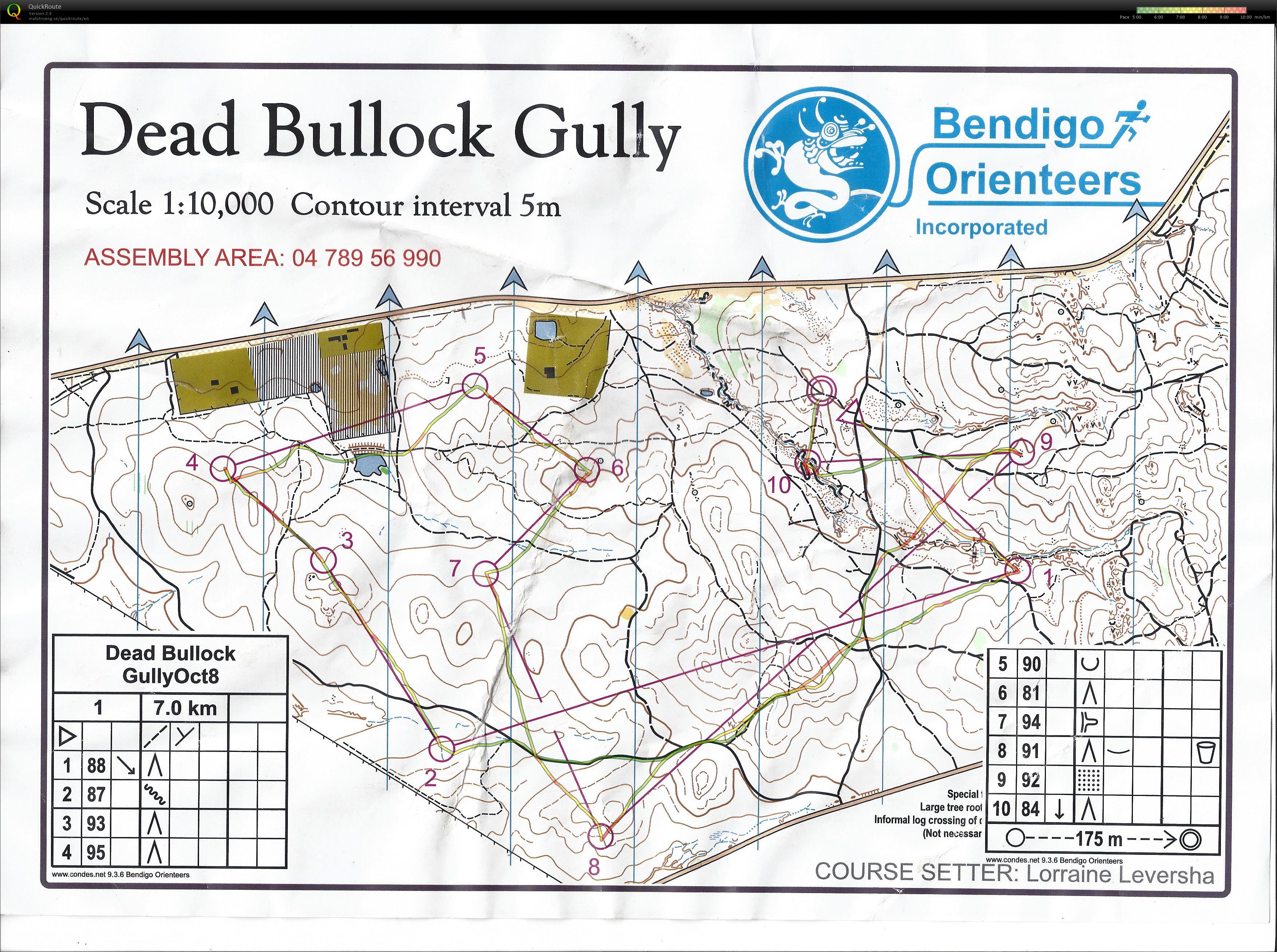Bendigo Bush 22 Course 1 (2016-10-08)