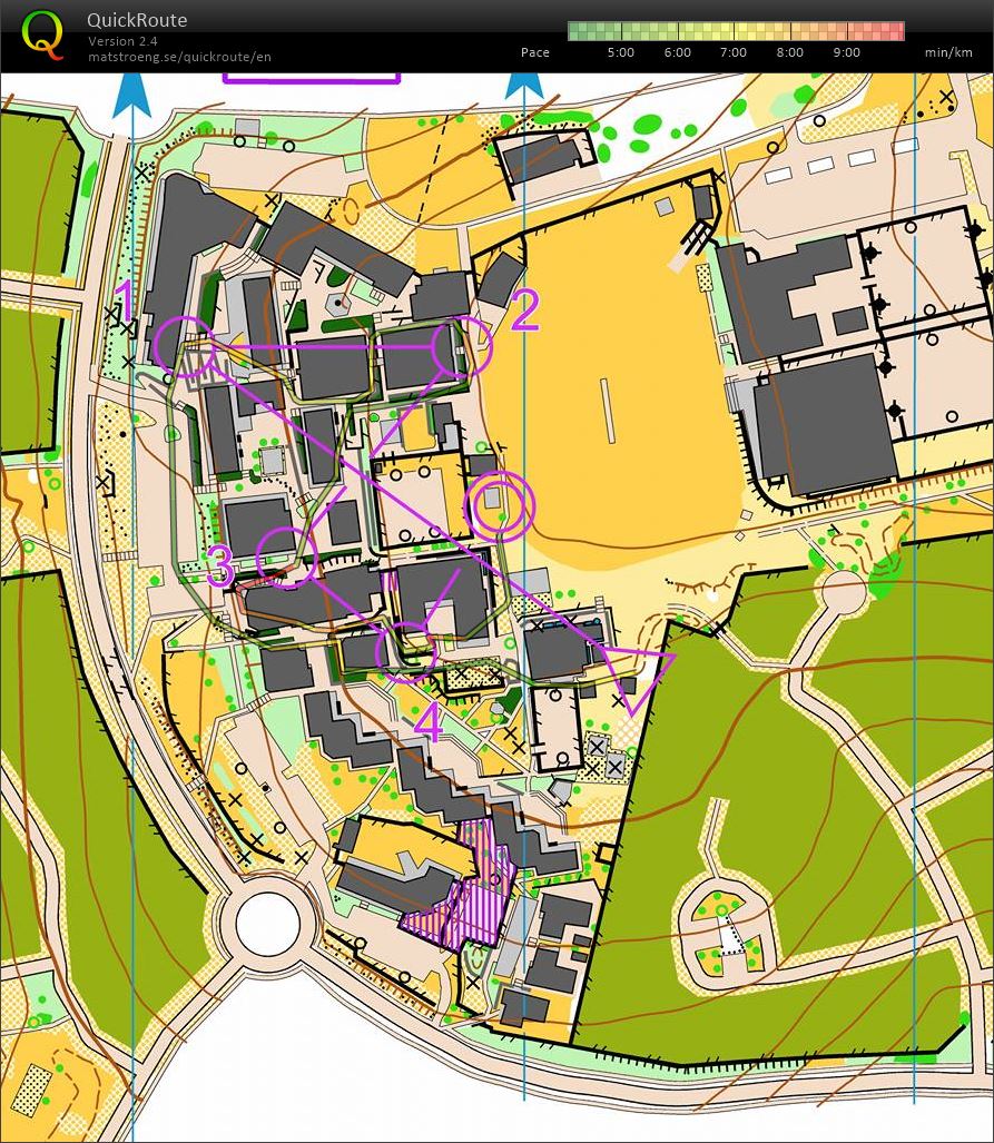 Sprintervals 3 (02.01.2017)