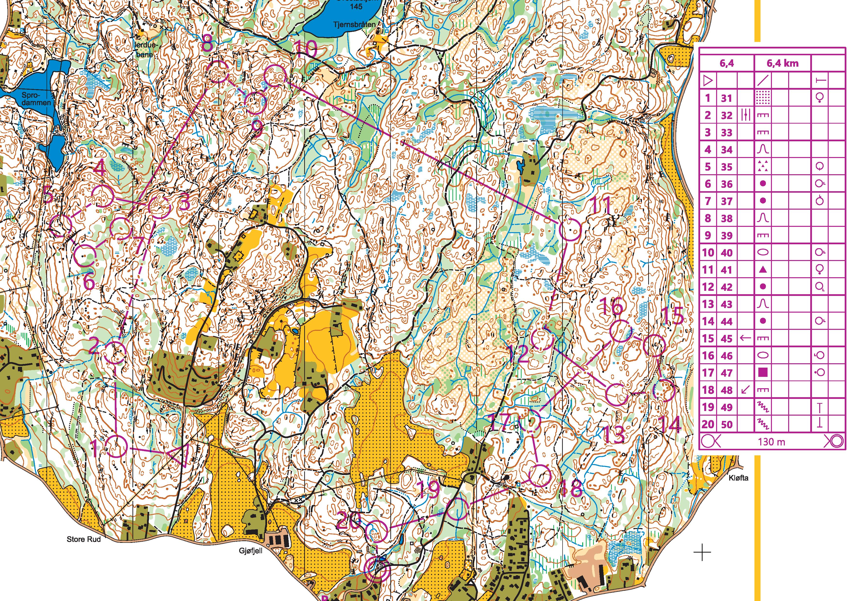 Svestadtjern middle distance (28/06/2019)
