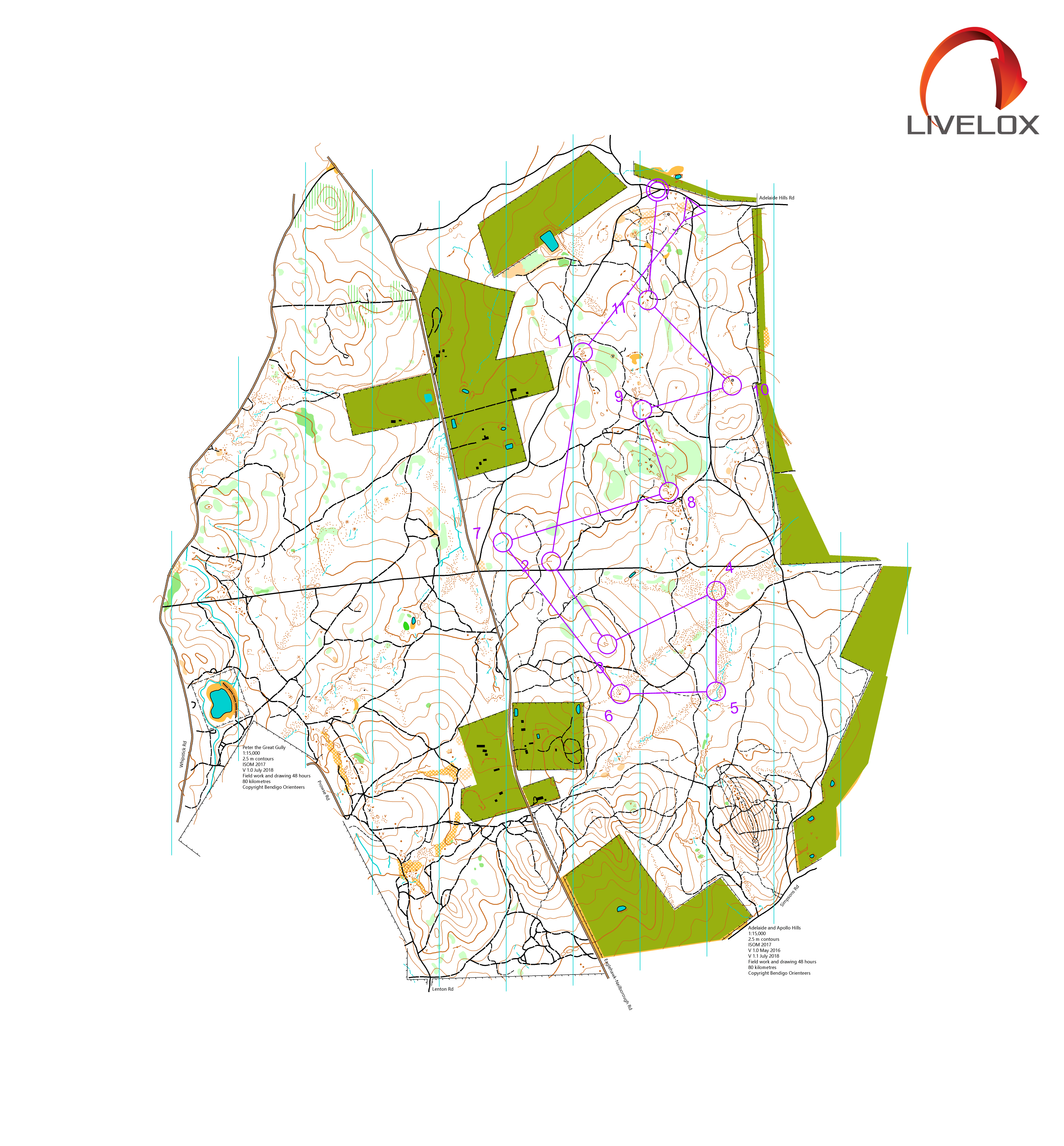 Bendigo Bush Classic 8 (29/06/2019)