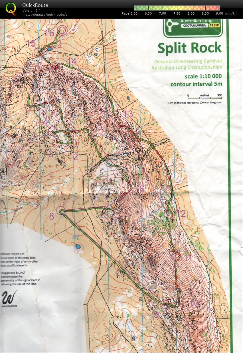 2019 Australian Championships Long Distance (2019-09-29)