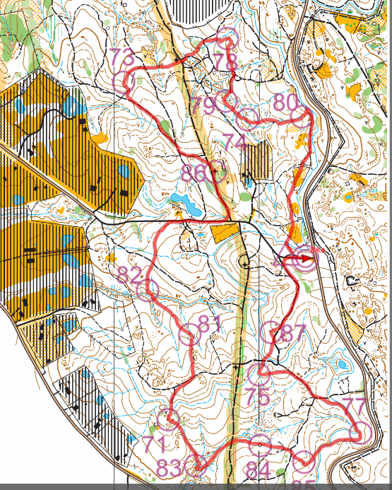 Easy orienteering (05.08.2023)