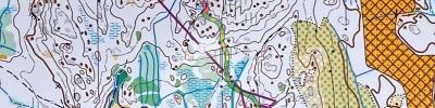 2024 WMOC Forest Qualification M50A