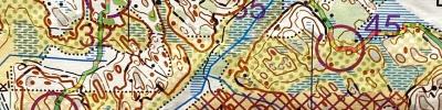 2024 WMOC Forest Model