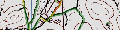 2024 Victorian MTBO Sprint Championship