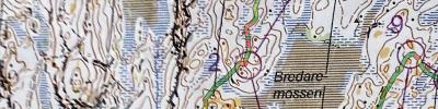 Gothenburg training on WMOC 2015 map