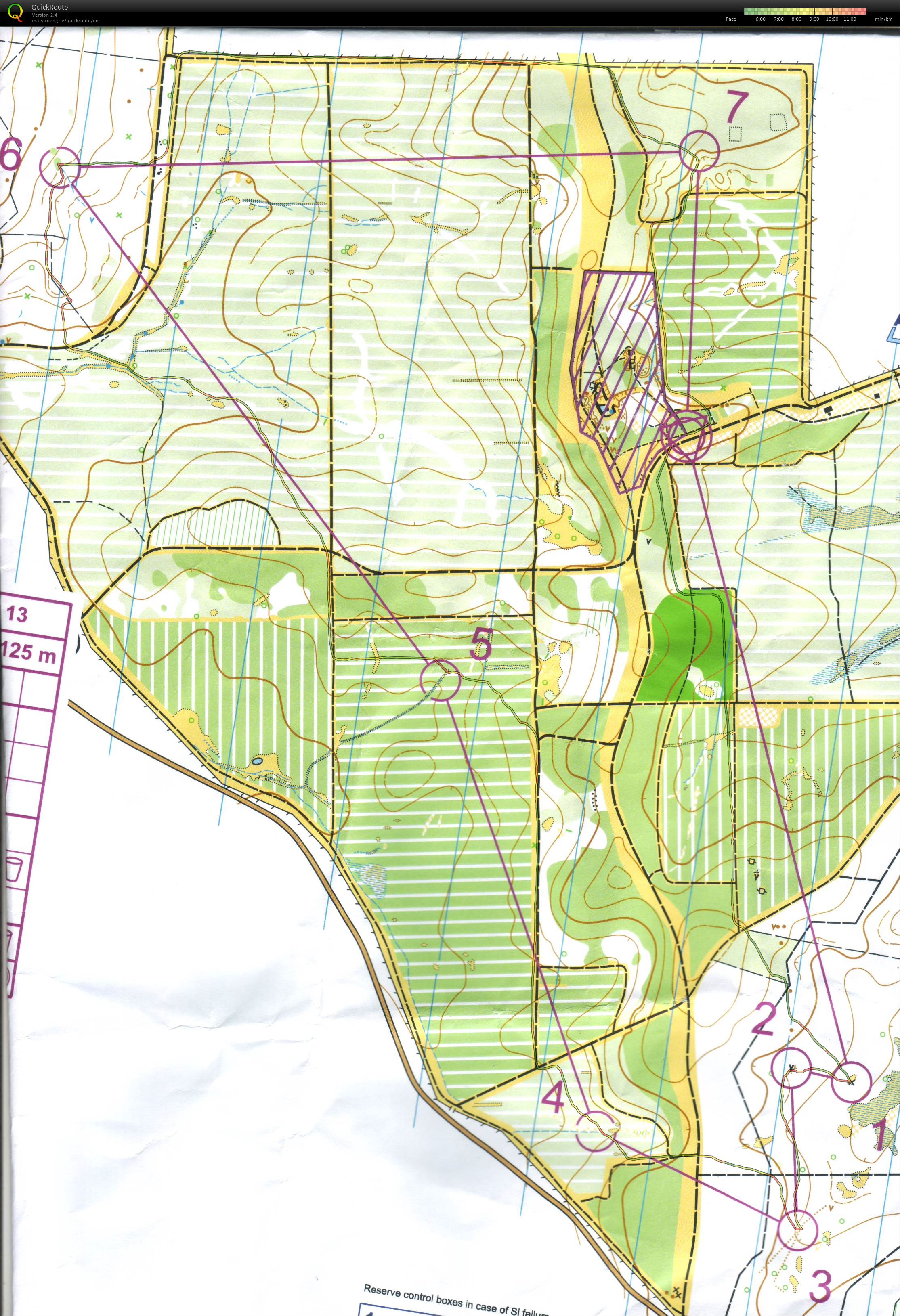 Mount Crawford Forest (2013-07-21)