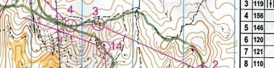 Victorian Middle Distance Championships